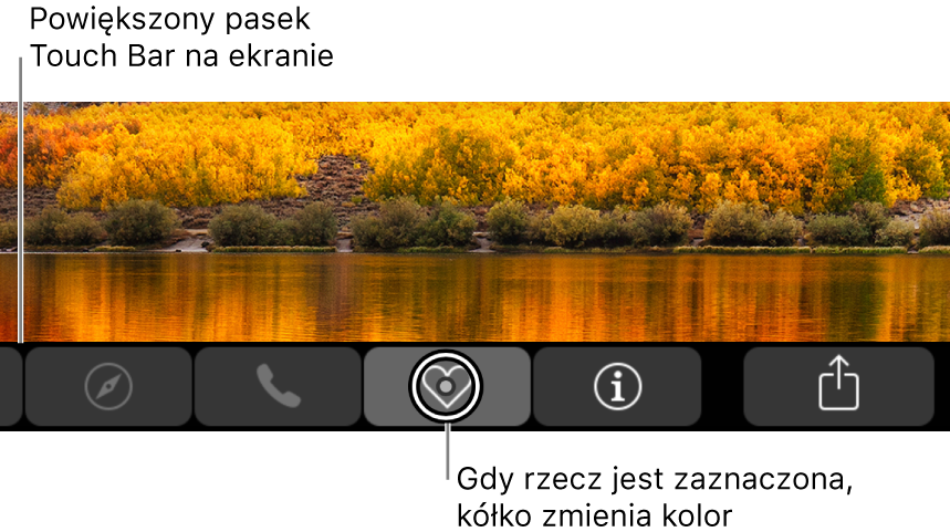 Powiększony pasek Touch Bar wzdłuż dolnej krawędzi ekranu; kółko na przycisku zmienia się, gdy przycisk zostaje zaznaczony.