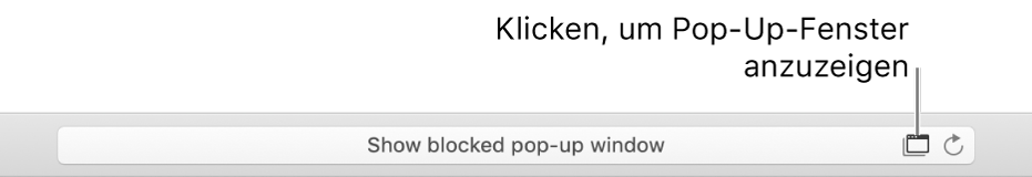 Intelligentes Suchfeld mit einem Symbol rechts, um Pop-Up-Fenster zu erlauben