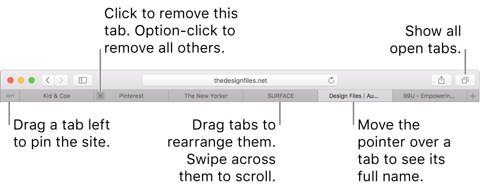 The Safari window with tabs.