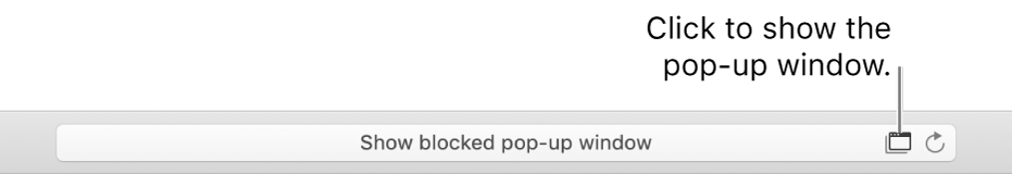 Smart Search field showing an icon on the right to allow pop-up windows.