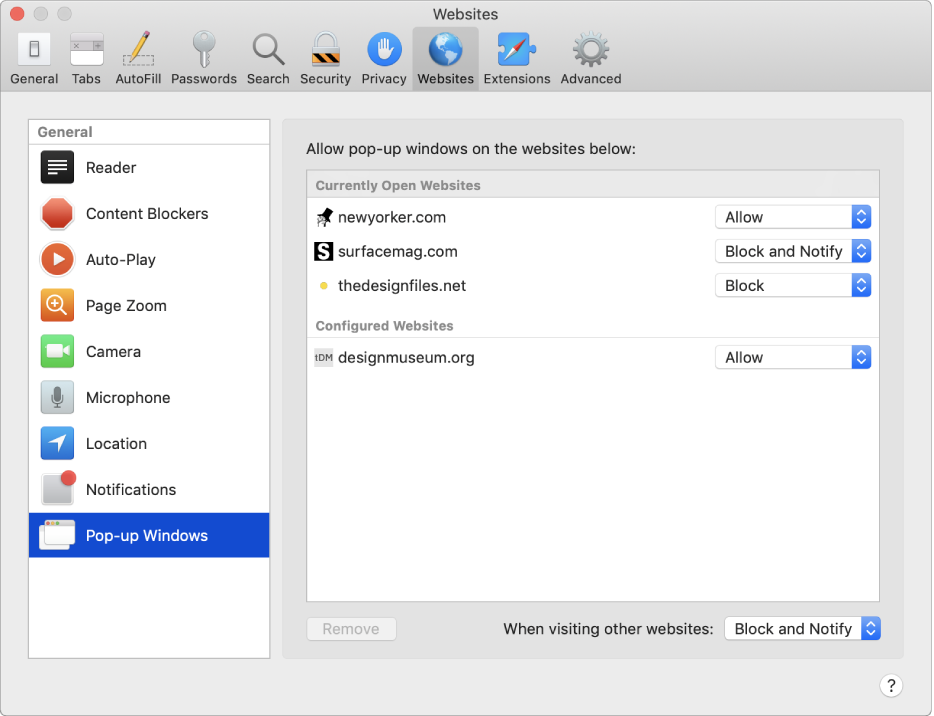 Websites preferences, where you can customize the way you browse individual websites using Safari.