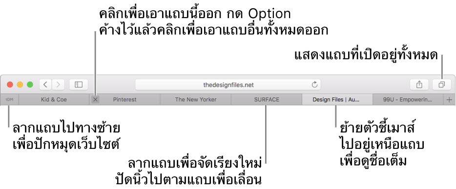 หน้าต่าง Safari ที่มีแถบต่างๆ