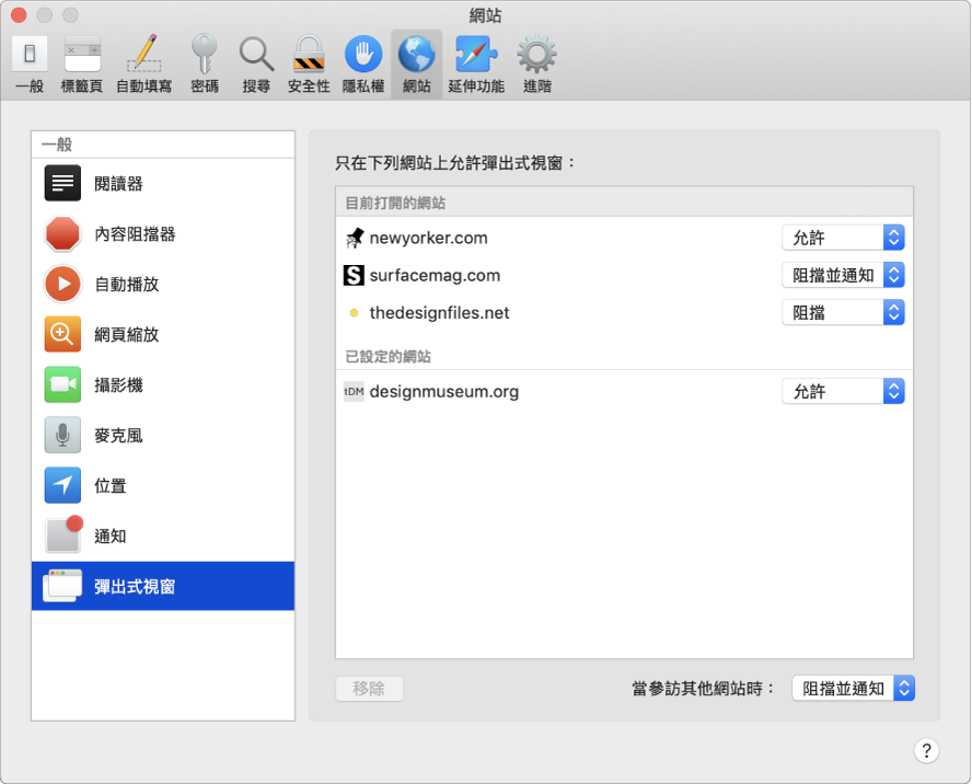 「網站」偏好設定,您可在此自定如何使用 Safari 瀏覽個別的網站。