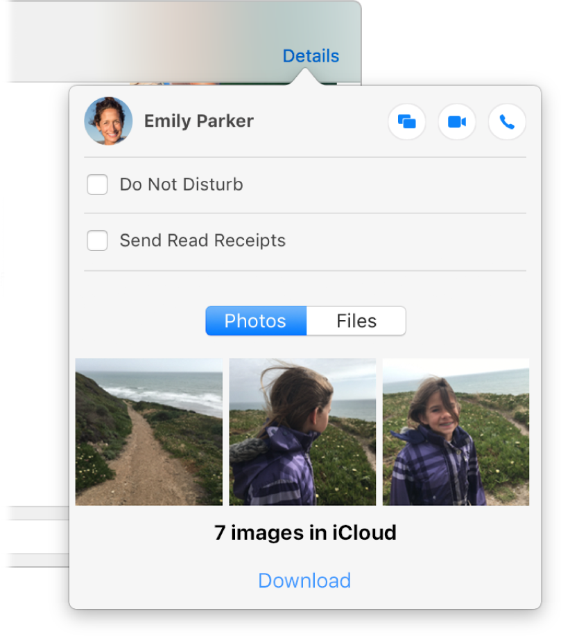 Details view, with the Screen Share, Video and Audio buttons in the top-right corner.