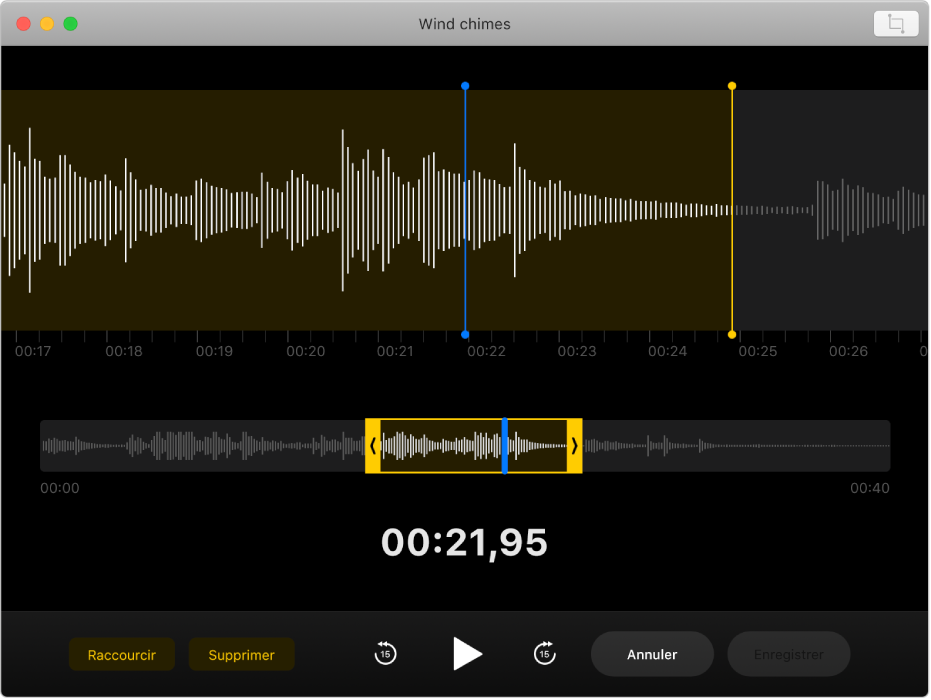 Un mémo vocal en cours de modification dans la fenêtre Dictaphone.