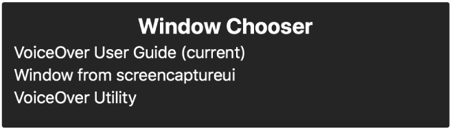 The Window Chooser is a panel that shows a list of currently open windows.