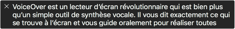 Le panneau Légende affiche l’élément que VoiceOver lit actuellement.