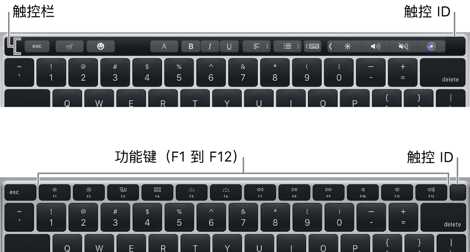 位于键盘右上角的触控 ID。