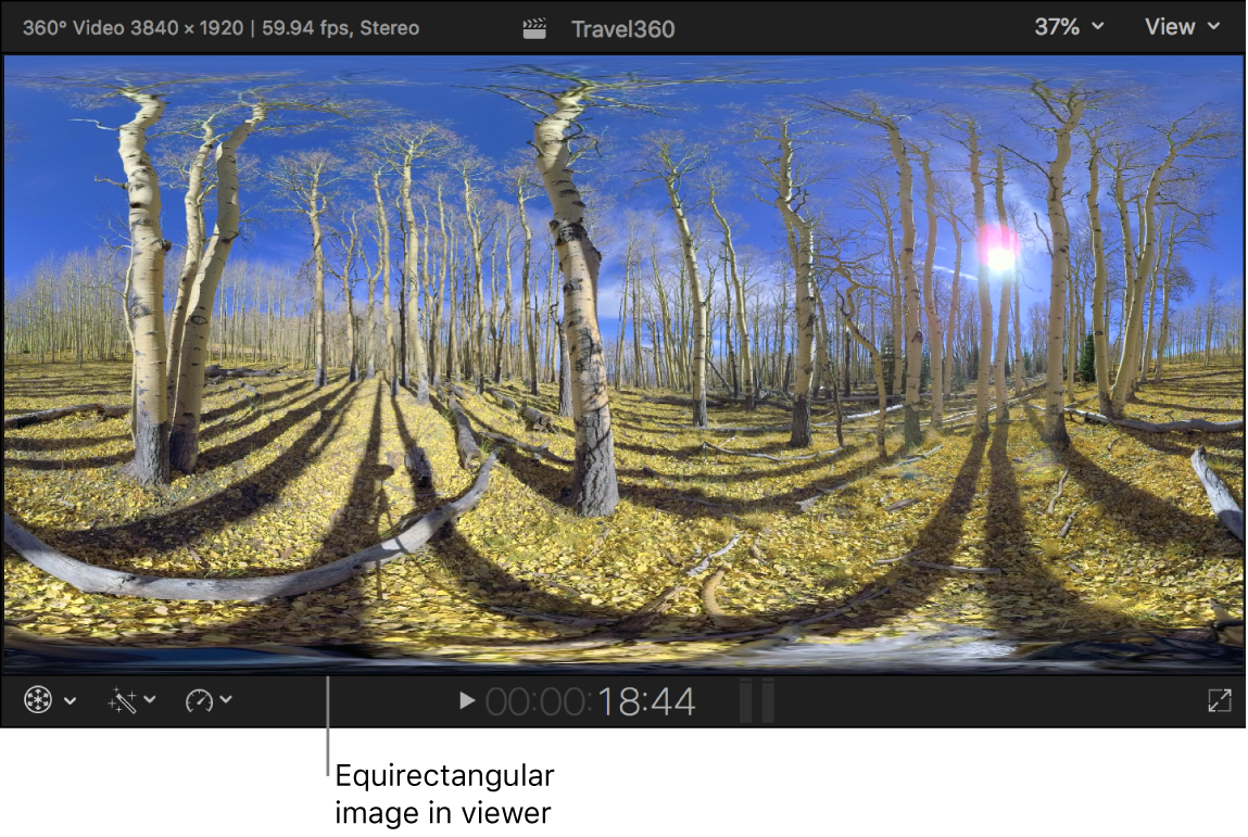 Ein rektangulares 360°-Bild im Viewer
