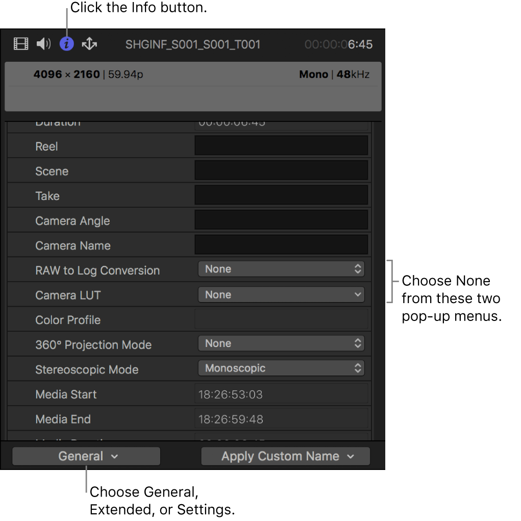 Das Informationsfenster „Info“ in der Metadatendarstellung „Allgemein“ mit den auf „Ohne“ gesetzten Optionen „RAW-zu-Log-Konvertierung“ und „Kamera-LUT“
