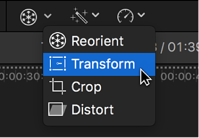 The Transform menu item for accessing Transform controls