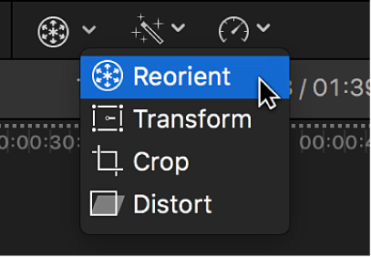 The Reorient menu item for accessing the Reorient control