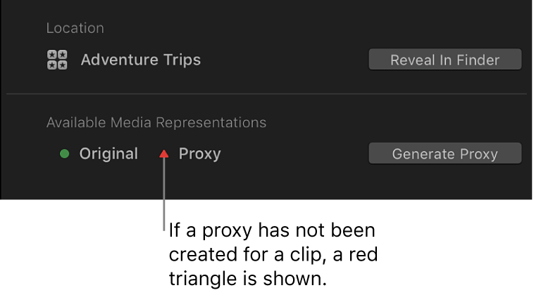 Inspector de información y triángulo rojo que indica que no existe ningún archivo proxy para el clip seleccionado