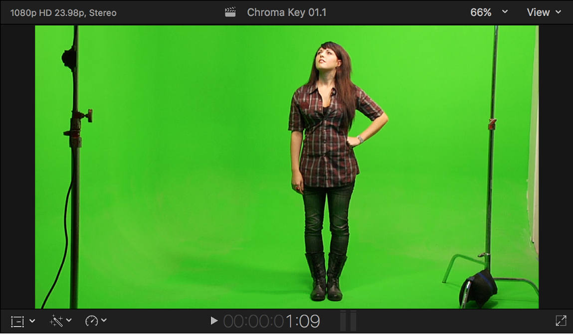 ビューアに、緑を背景にして立つ女性のクロマキー前景ビデオが表示されている