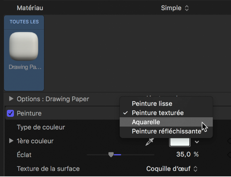 Inspecteur de texte 3D affichant le menu local Peinture