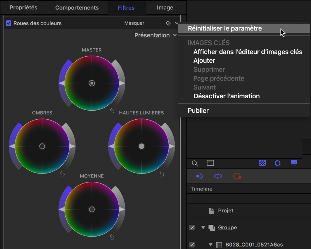Commandes des roues des couleurs dans l’inspecteur de filtres affichant le menu local Animation