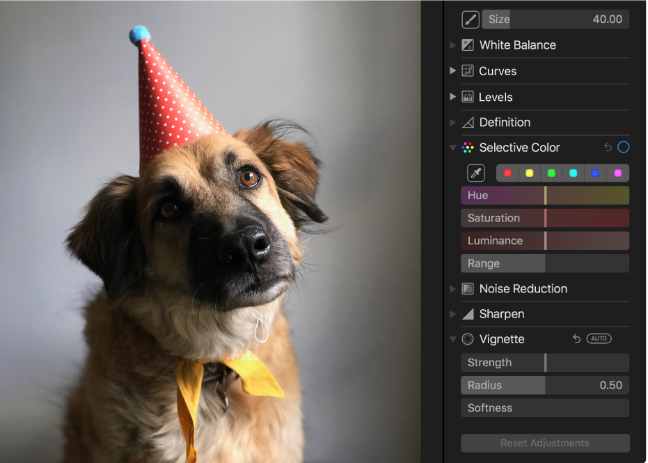 Una foto antes de un ajuste de color selectivo.