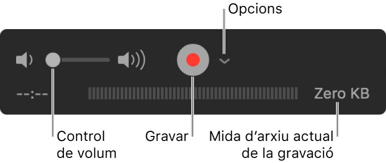 Els controls de gravació, inclosos el control de volum, el botó Gravar i el menú desplegable Opcions.