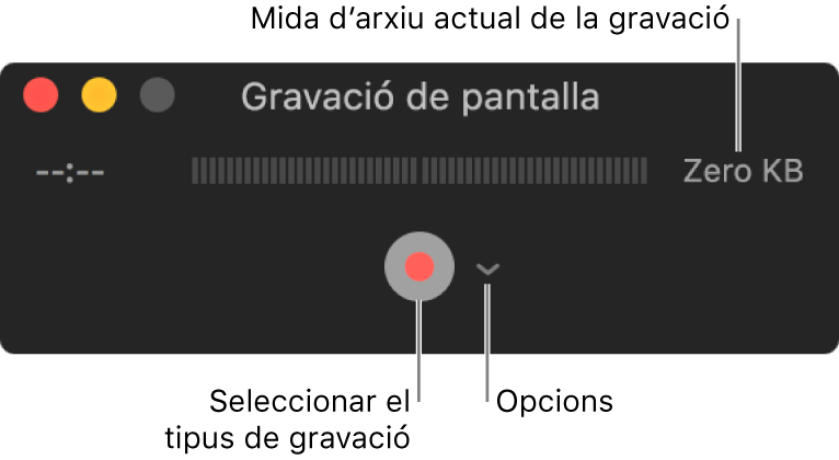 Finestra de gravació de pantalla, amb el botó Gravar a la part inferior i el menú desplegable Opcions al seu costat.