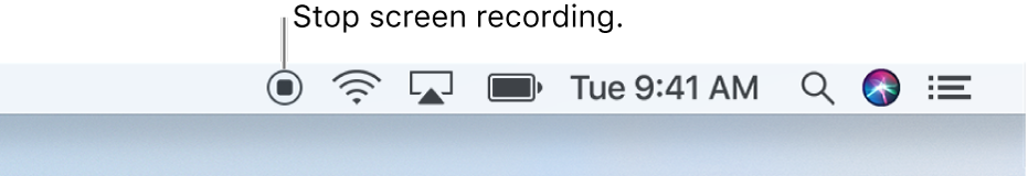 The Stop button in the menu bar.