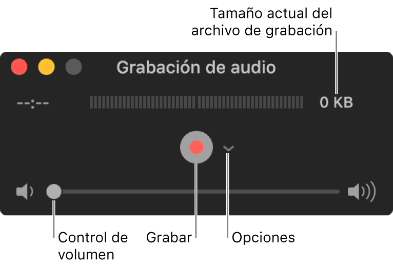 La ventana “Grabación de audio” con el botón Grabar, el menú desplegable Opciones en el centro de la ventana y el control de volumen en la parte inferior.