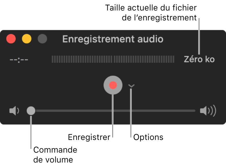 La fenêtre d’enregistrement audio avec le bouton Enregistrer et le menu contextuel Options au centre de la fenêtre, et le contrôle du volume en bas.
