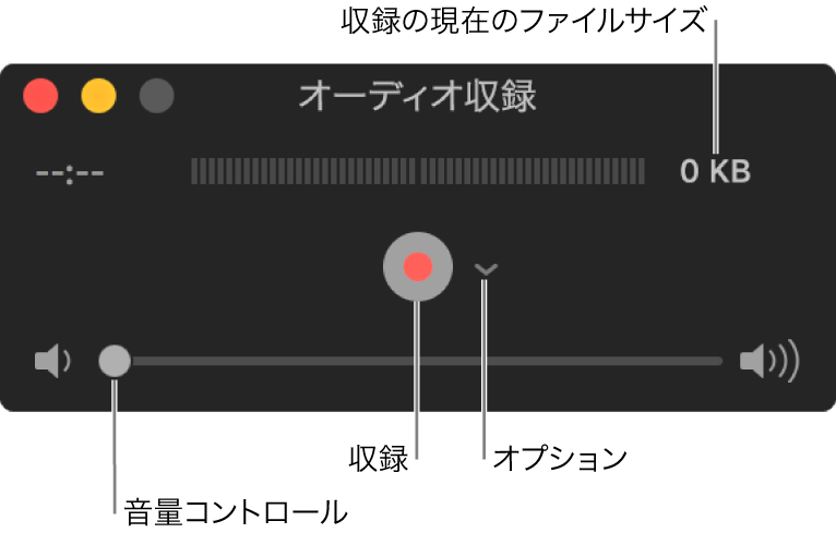 「オーディオ収録」ウインドウ。ウインドウ中央に収録ボタンおよび「オプション」ポップアップメニューがあり、下部に音量コントロールがあります。