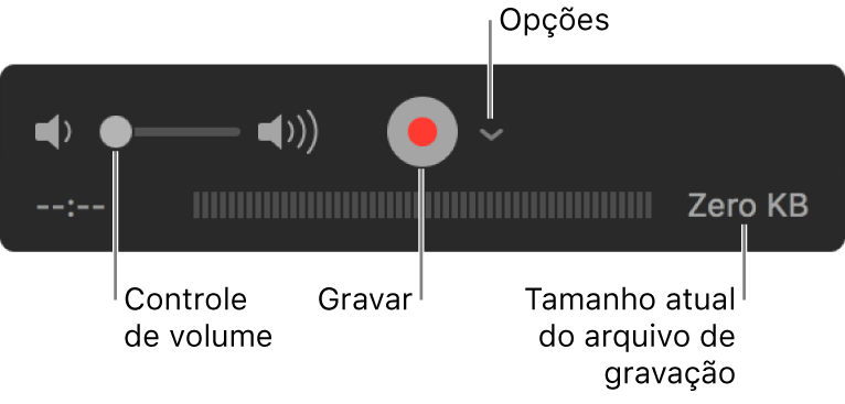 Os controles de gravação, incluindo o controle de volume, o botão Gravar e o menu local Opções.