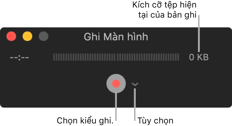 Cửa sổ Ghi màn hình với nút Ghi ở dưới cùng và menu bật lên Tùy chọn bên cạnh.