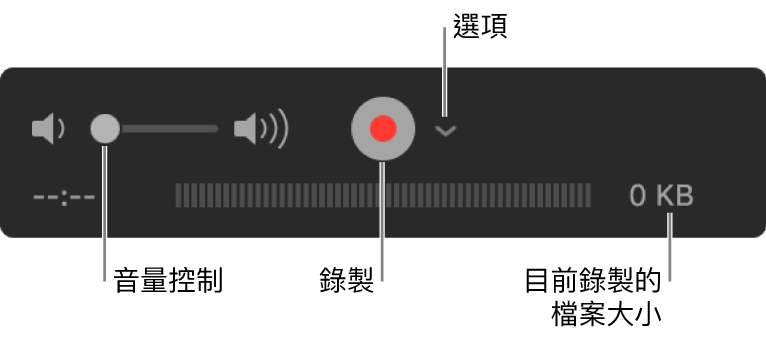 錄製控制項目，包括音量控制、「錄製」按鈕和「選項」彈出式選單。