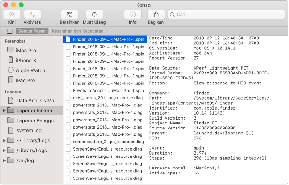 Jendela Konsol dengan laporan Finder dipilih dan detail di sebelah kanan.