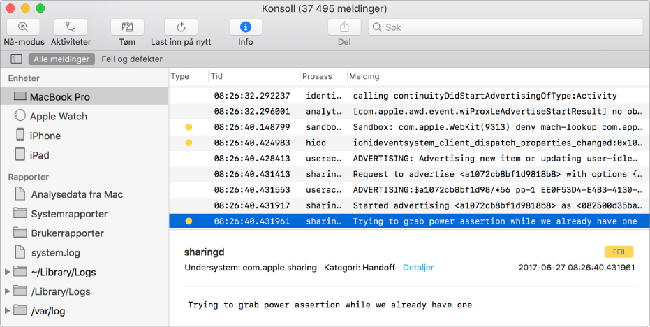 Konsoll-vinduet, med en loggmelding markert og detaljer i det nederste panelet.