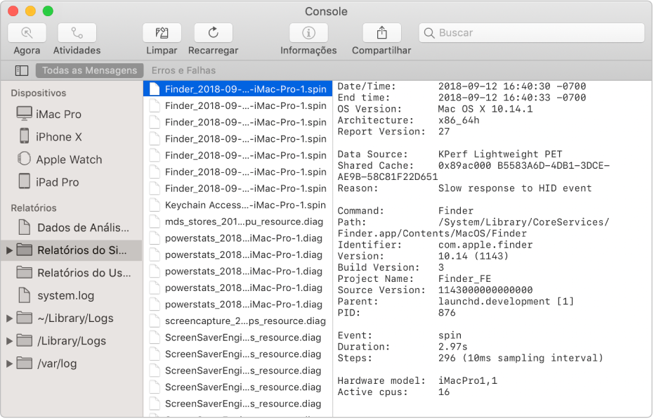 Janela do Console com um relatório do Finder selecionado e detalhes à direita.