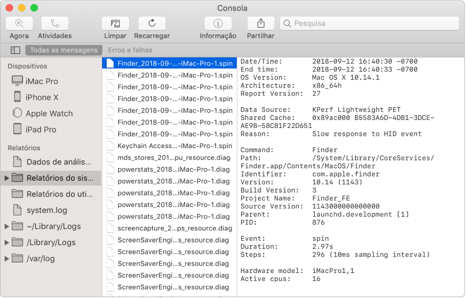A janela da Consola com um relatório do Finder selecionado e detalhes à direita.