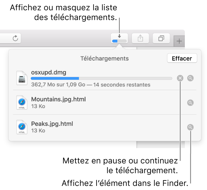 Le bouton Téléchargements de la barre d’outils, avec la liste de téléchargements sous celui-ci.