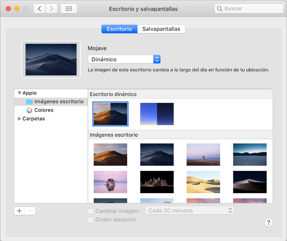 creare siti web dinamici con mac