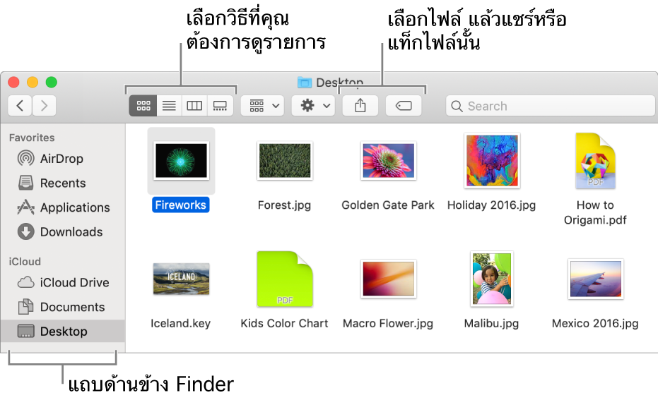 หน้าต่าง Finder ที่มีแถบด้านข้าง Finder ทางด้านซ้าย ที่ด้านซ้ายบนของหน้าต่างมีปุ่มสี่ปุ่มที่คุณคลิกได้เพื่อเปลี่ยนวิธีที่คุณดูรายการในหน้าต่าง Finder ทางด้านขวามีปุ่มสองปุ่มที่คุณคลิกเพื่อแชร์หรือแท็กไฟล์ที่เลือก