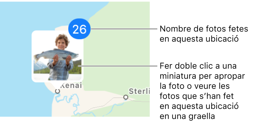 Miniatures de fotos localitzades en un mapa.