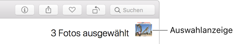 Auswahlanzeige mit drei ausgewählten Fotos.