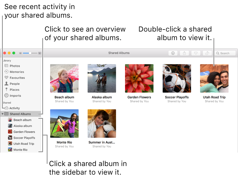 The Shared Albums pane of the Photos window, showing shared albums.