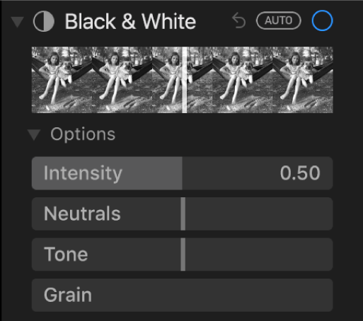 The Black & White area of the Adjust pane showing sliders for Intensity, Neutrals, Tone and Grain.