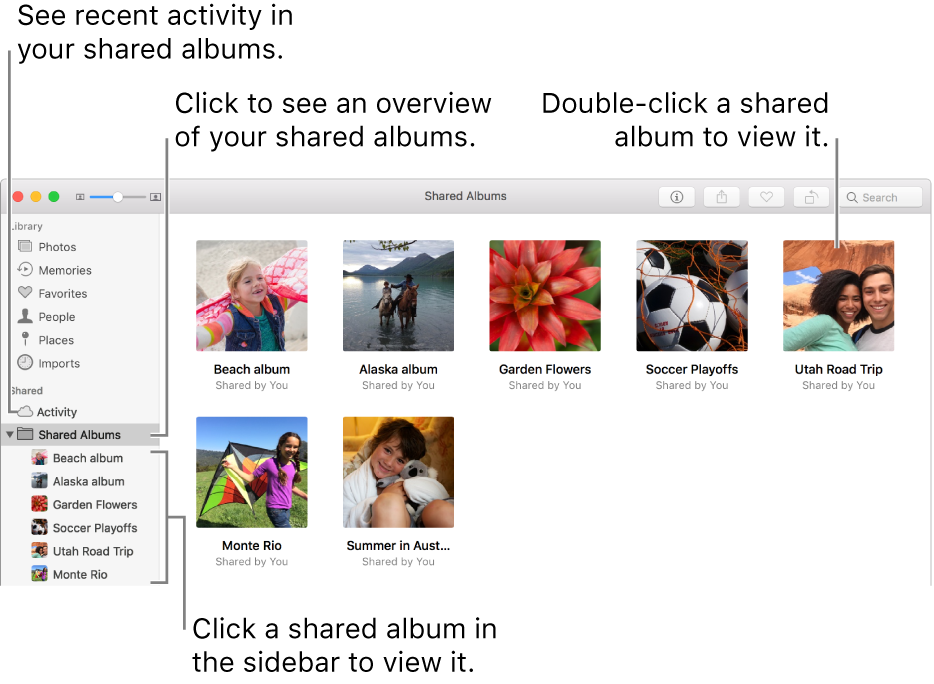The Shared Albums pane of the Photos window, showing shared albums.