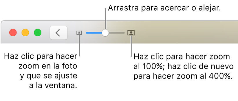 La barra de herramientas mostrando los controles del zoom.