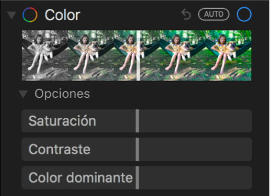 El área Color del panel Ajustar mostrando los reguladores de Saturación, Contraste y “Color dominante”.