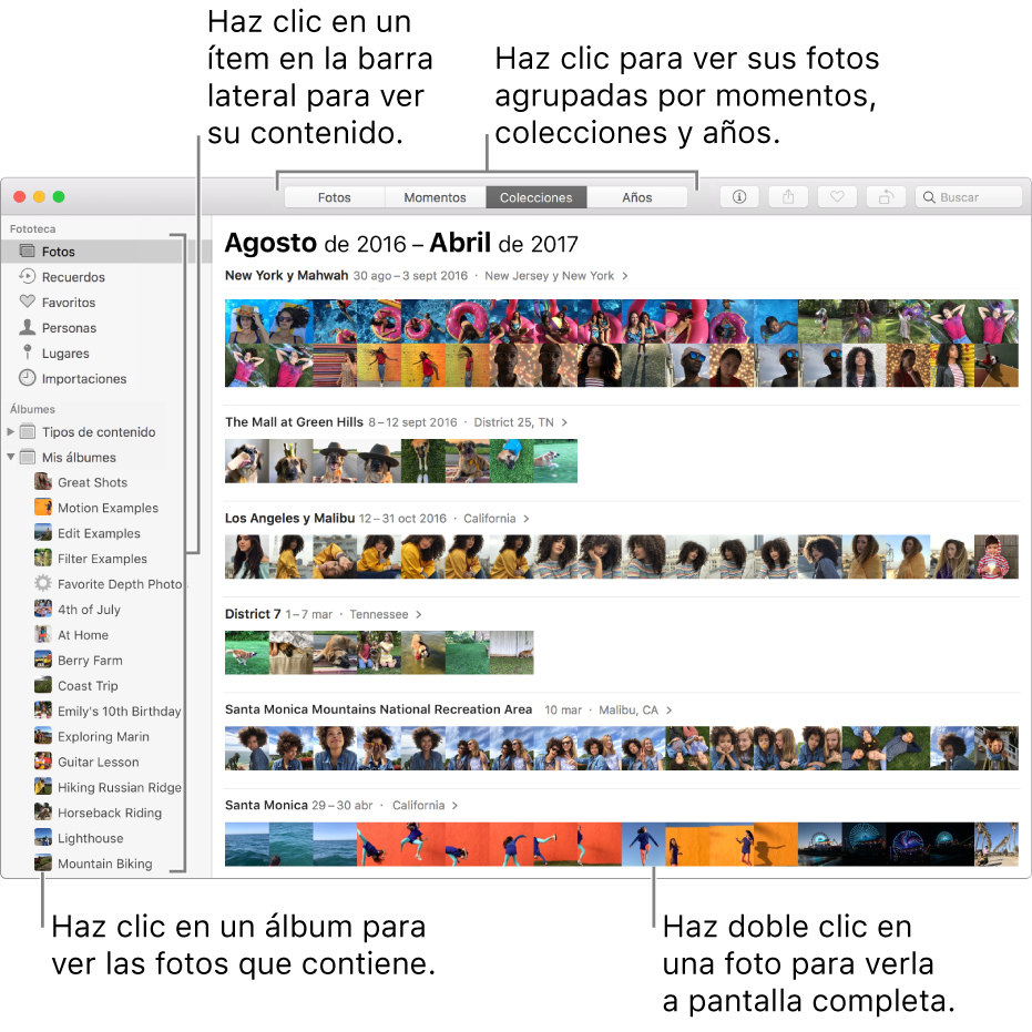 La ventana de Fotos con las fotos organizadas por colección.