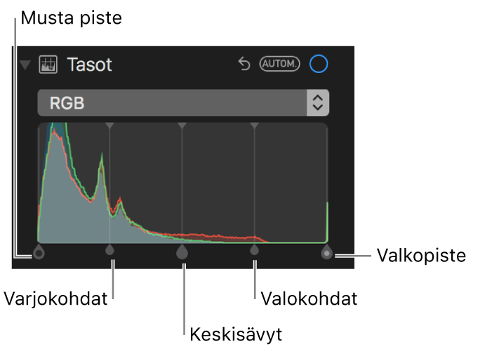 RGB-histogrammin tasosäätimet, mukaan lukien (vasemmalta oikealle) musta piste, varjokohdat, keskisävyt, valokohdat ja valkoinen piste.