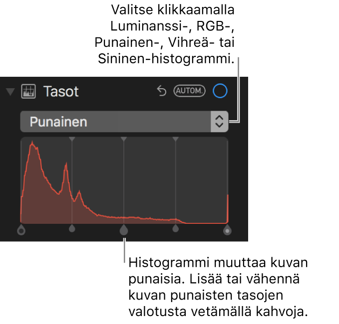 Tasosäätimet ja histogrammi kuvan punaisten alueiden muuttamista varten.