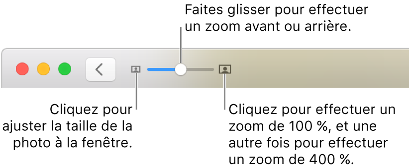 La barre d’outils affichant les commandes Réduire/agrandir.