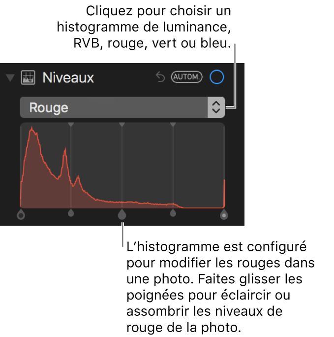 Les commandes de niveaux et d’histogramme permettant de modifier les rouges dans une photo.