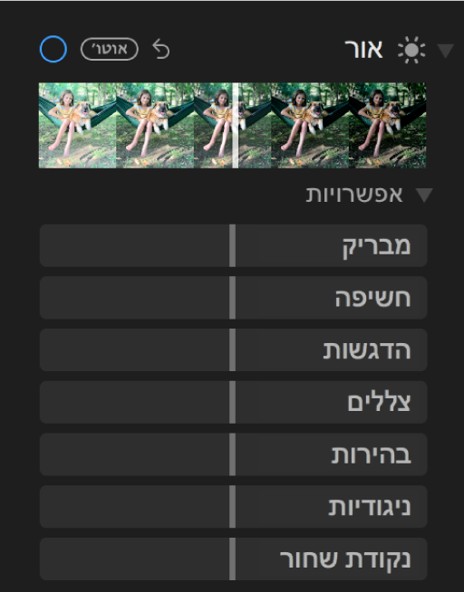 האזור ״אור״ בחלונית ״התאם״, המציג מחוונים של ״זוהר״, ״חשיפה״, ״הדגשות״, ״צללים״, ״בהירות״, ״ניגודיות״ ו״נקודה שחורה״.